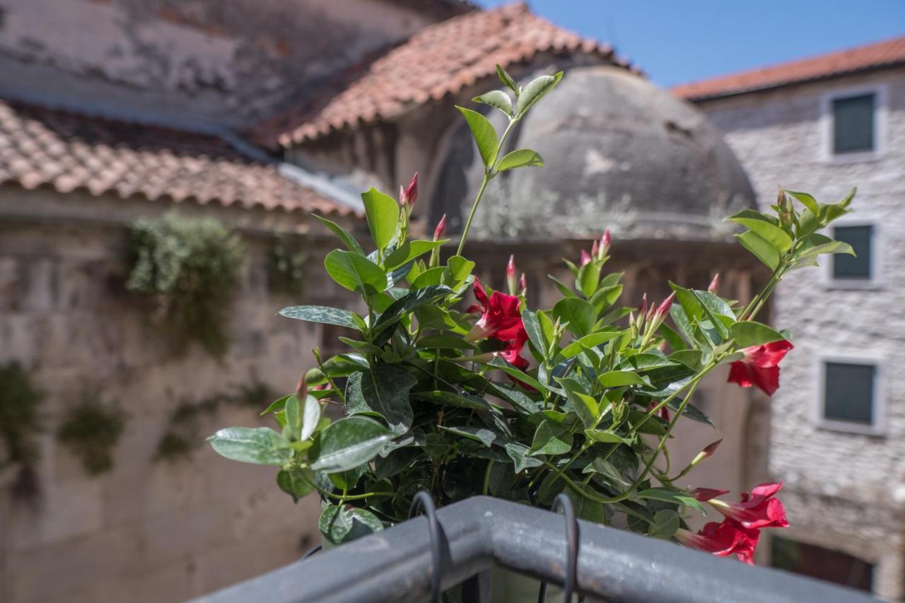 Olive Grove Of Sibenik - Apartment With Gallery Exterior photo